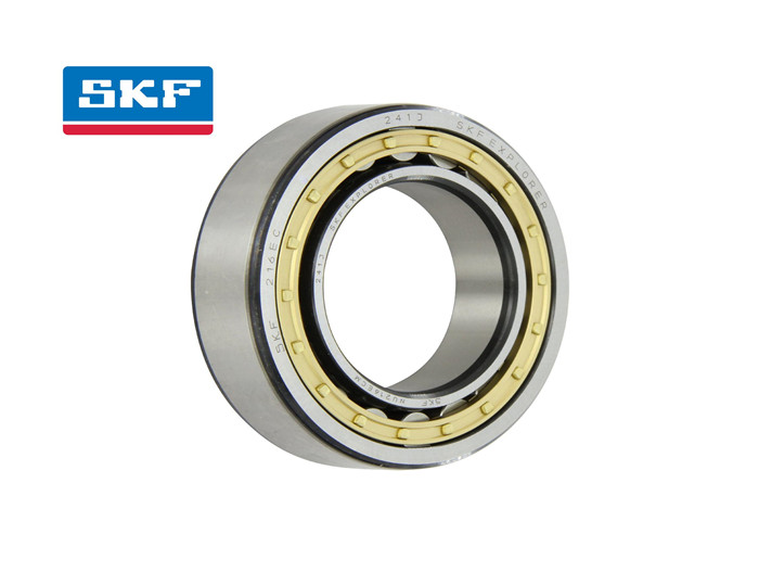 SKF (7)