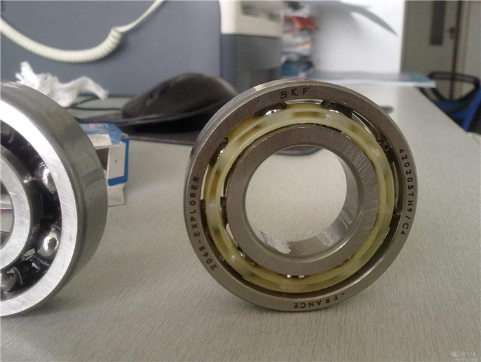 SKF (8)