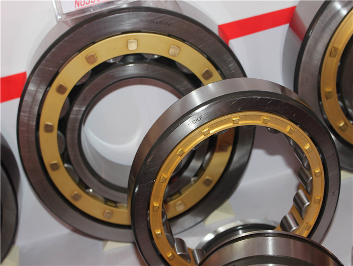 SKF (6)