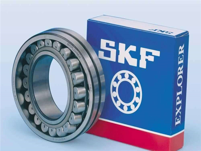 SKF (9)